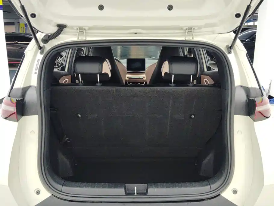 BYD Seagull 2024