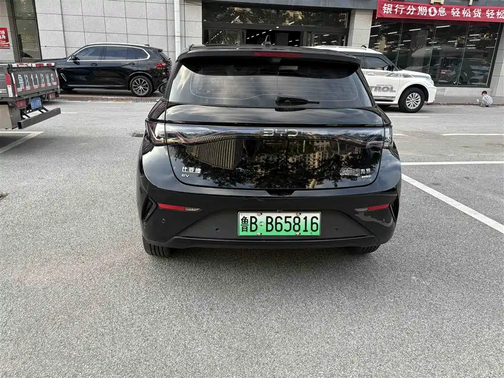 BYD Dolphin 2025