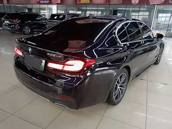 BMW 5 Series New Energy 2023