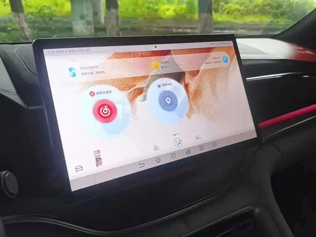 BYD Song PLUS New Energy 2024 — фото 13