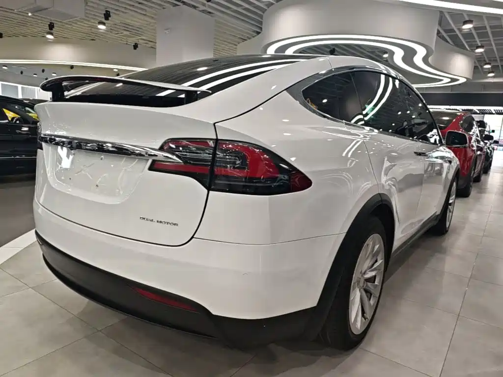 Tesla Model X 2019 — фото 7