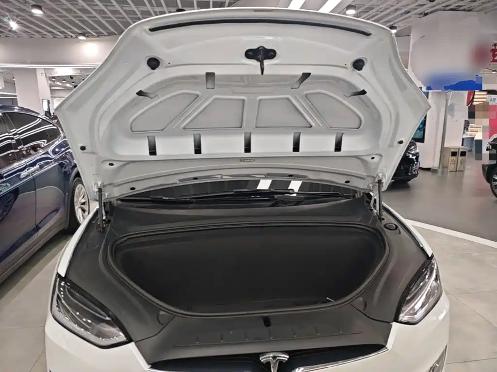 Tesla Model X 2019 — фото 20