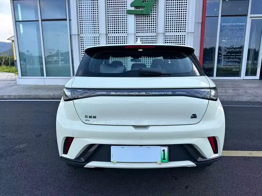 BYD Dolphin 2024