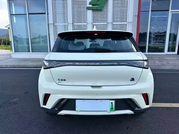 BYD Dolphin 2024