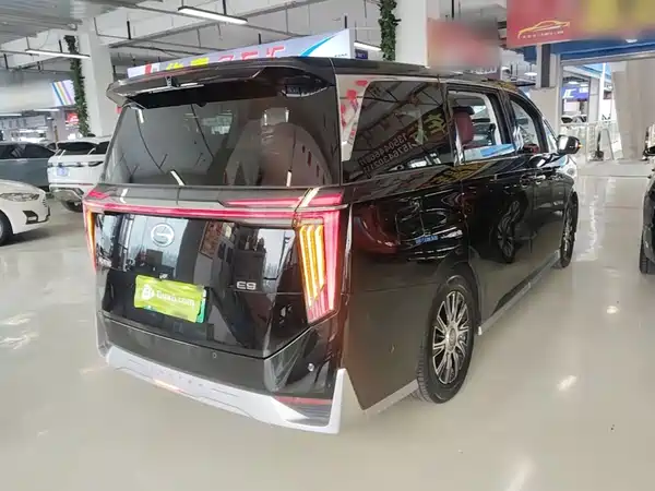 GAC Trumpchi E9 2024