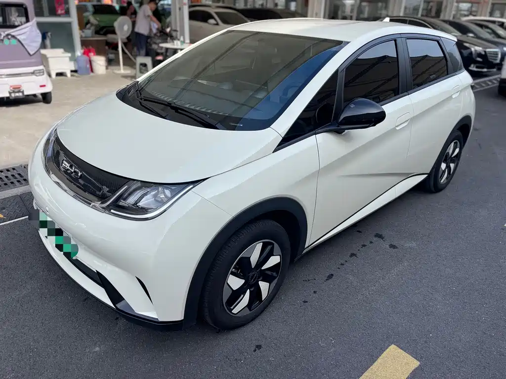 BYD Dolphin 2026