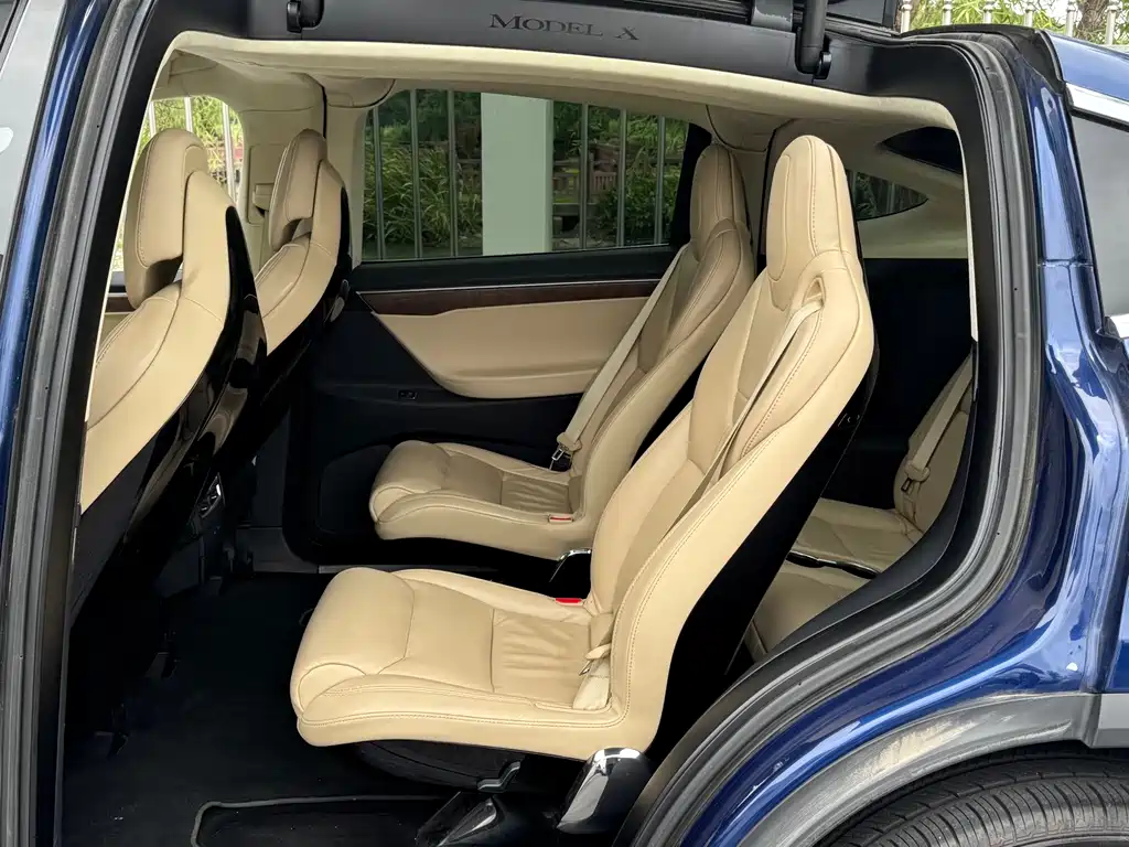 Tesla Model X 2017 — фото 10
