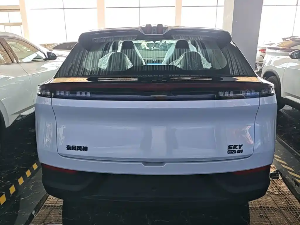 Dongfeng Aeolus SKY 2026