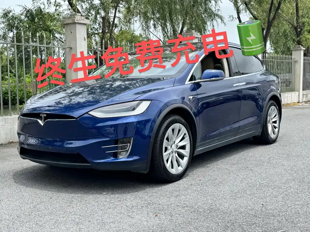 Tesla Model X 2017 — фото 1