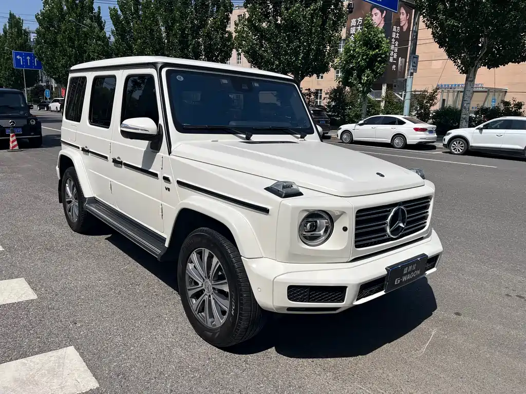 Mercedes-Benz G-Class 2020 — фото 4