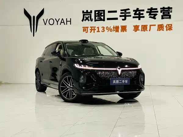 Voyah Zhiyin 2025