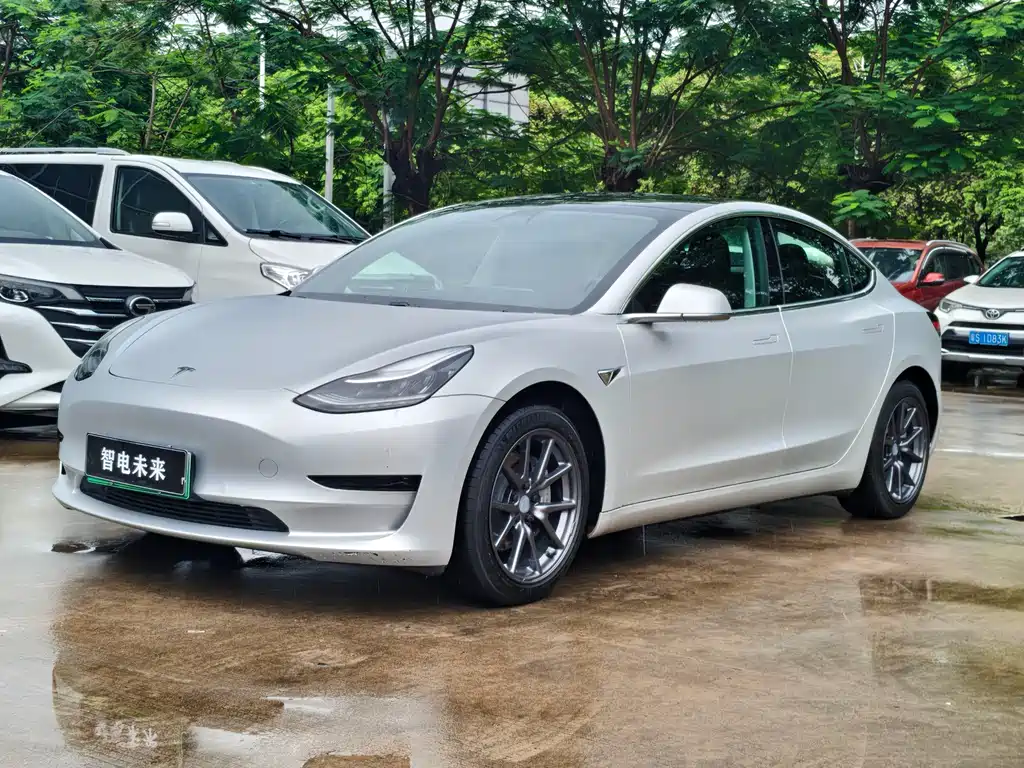 Tesla Model 3 2020