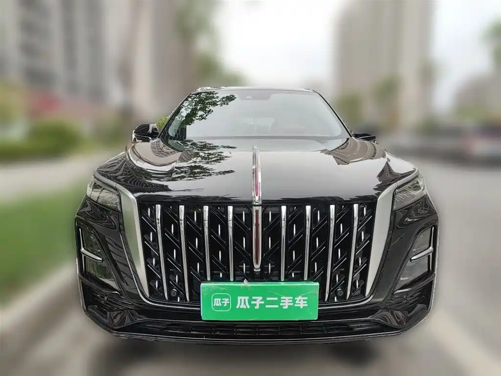 Hongqi HS5 2023 — фото 3