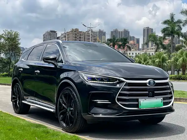 BYD Tang New Energy 2020