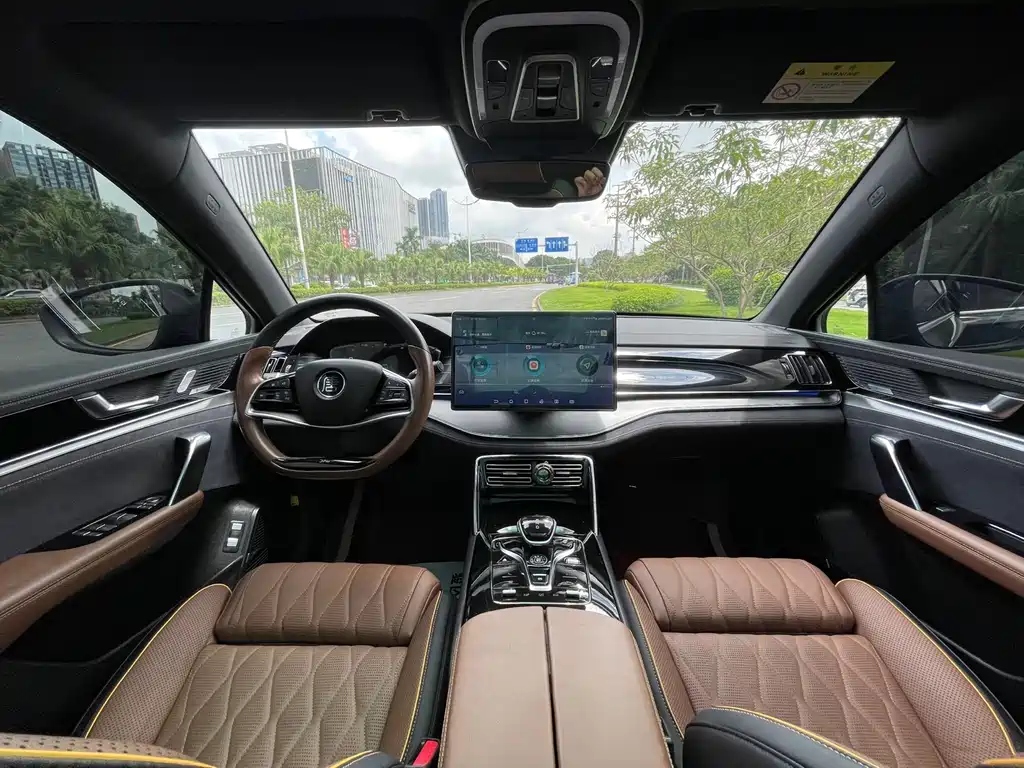 BYD Tang New Energy 2020 — фото 14