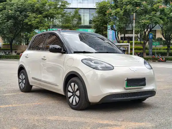 Wuling Bingo 2025