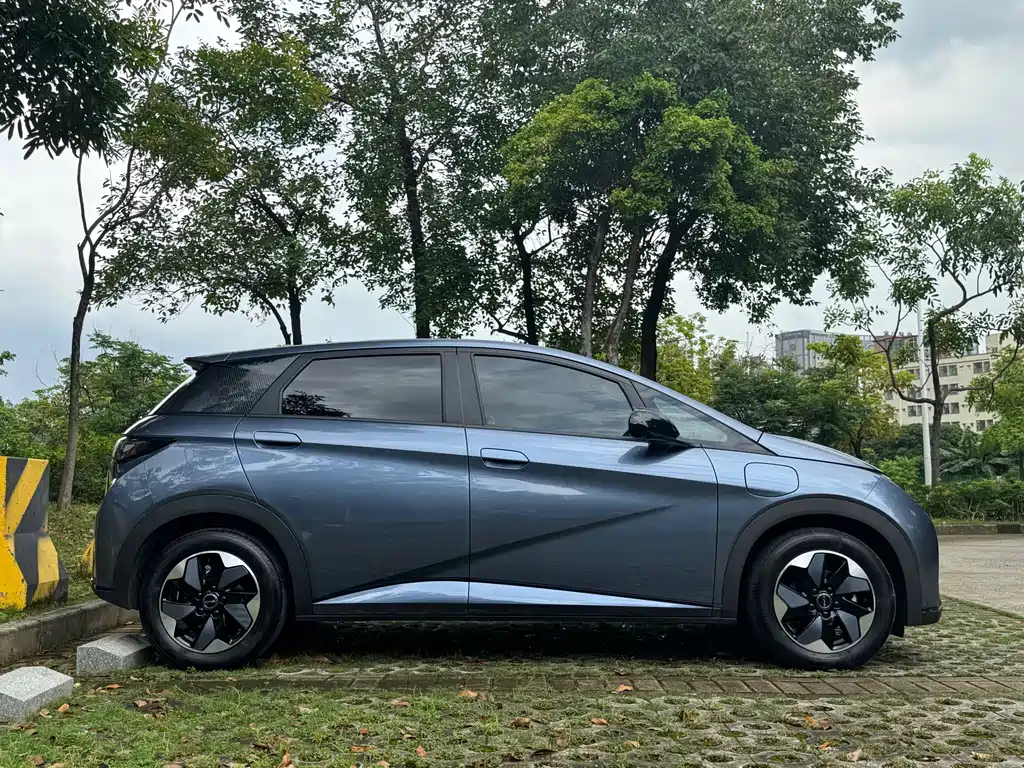 BYD Dolphin 2025