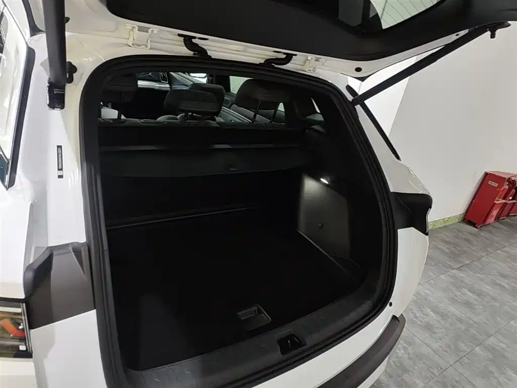 BYD L DM-i 2025 — фото 15