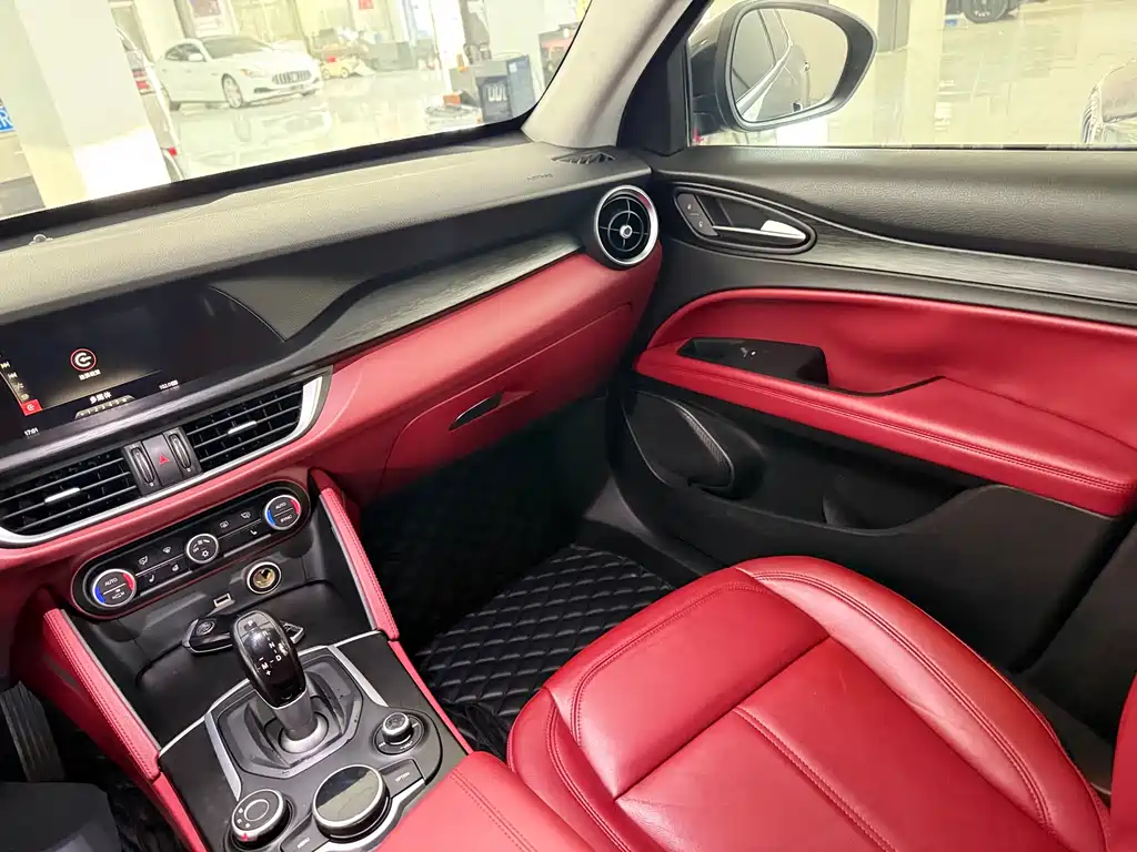 Alfa Romeo Stelvio 2019 — фото 14