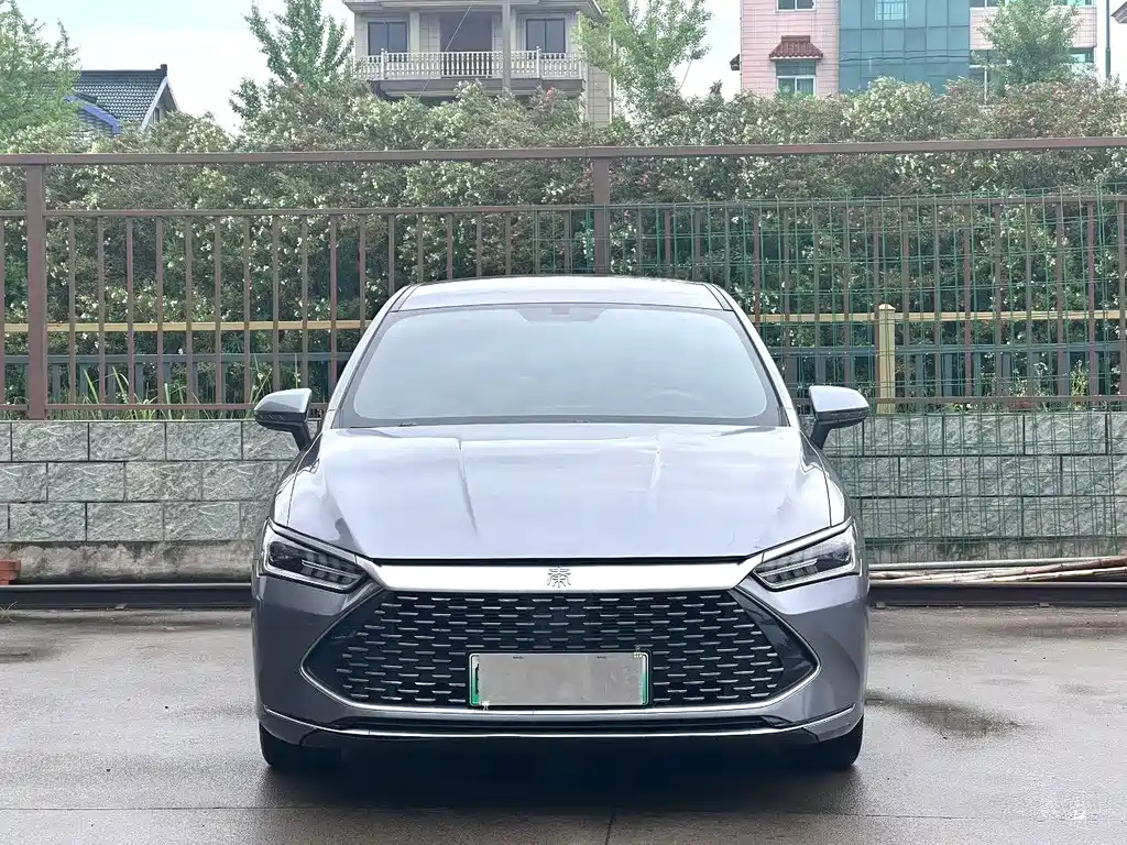 BYD Qin PLUS 2023 — фото 2