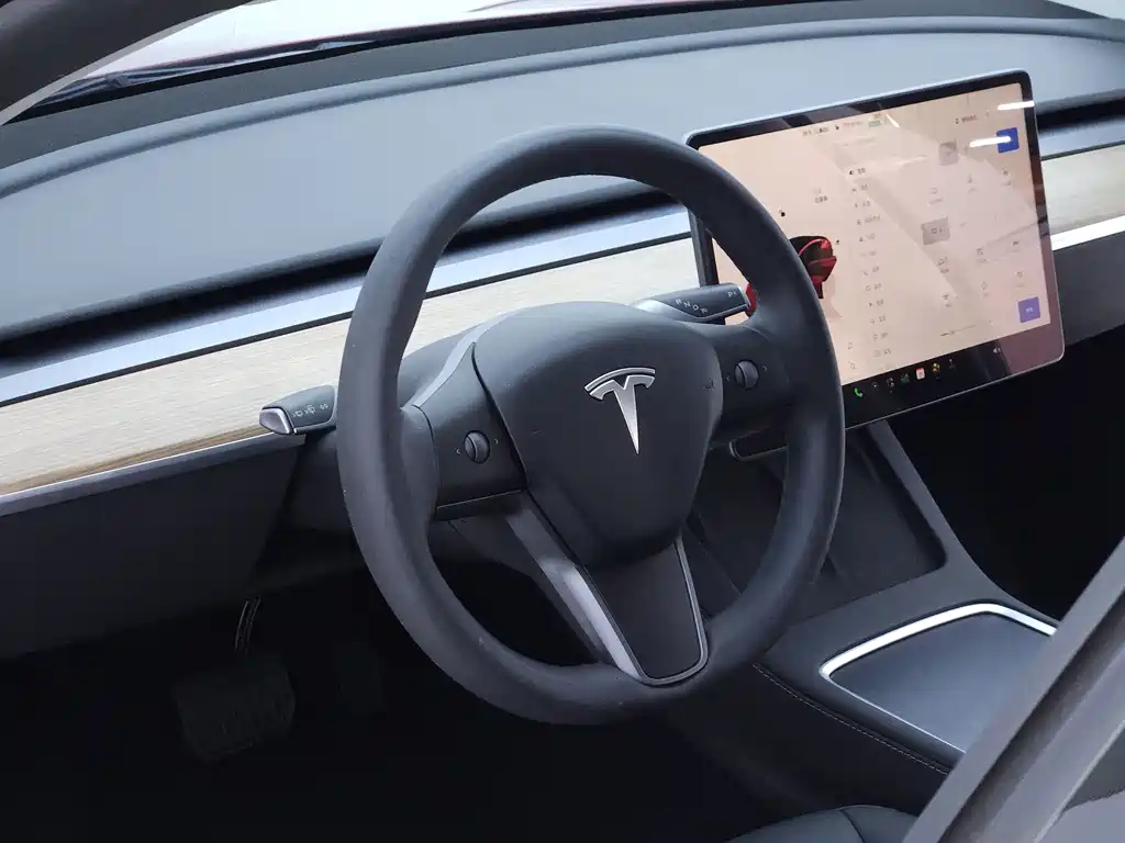 Tesla Model 3 2023 — фото 11