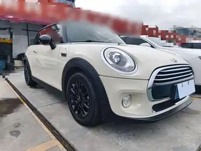 MINI MINI 2014