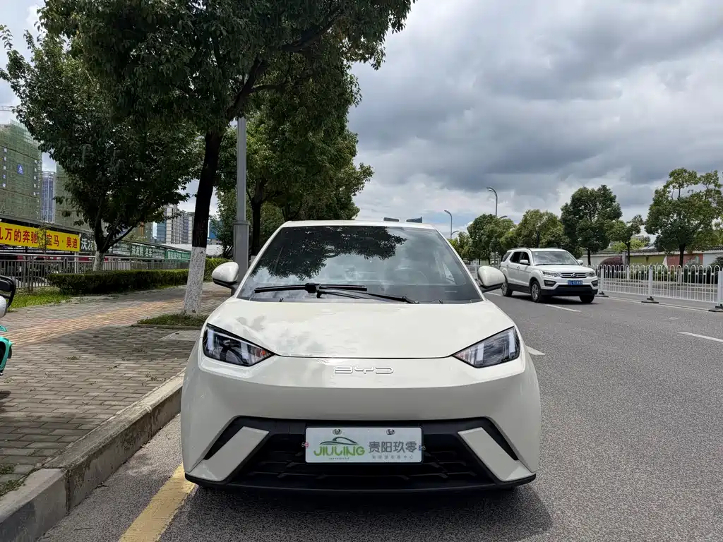 BYD Seagull 2024