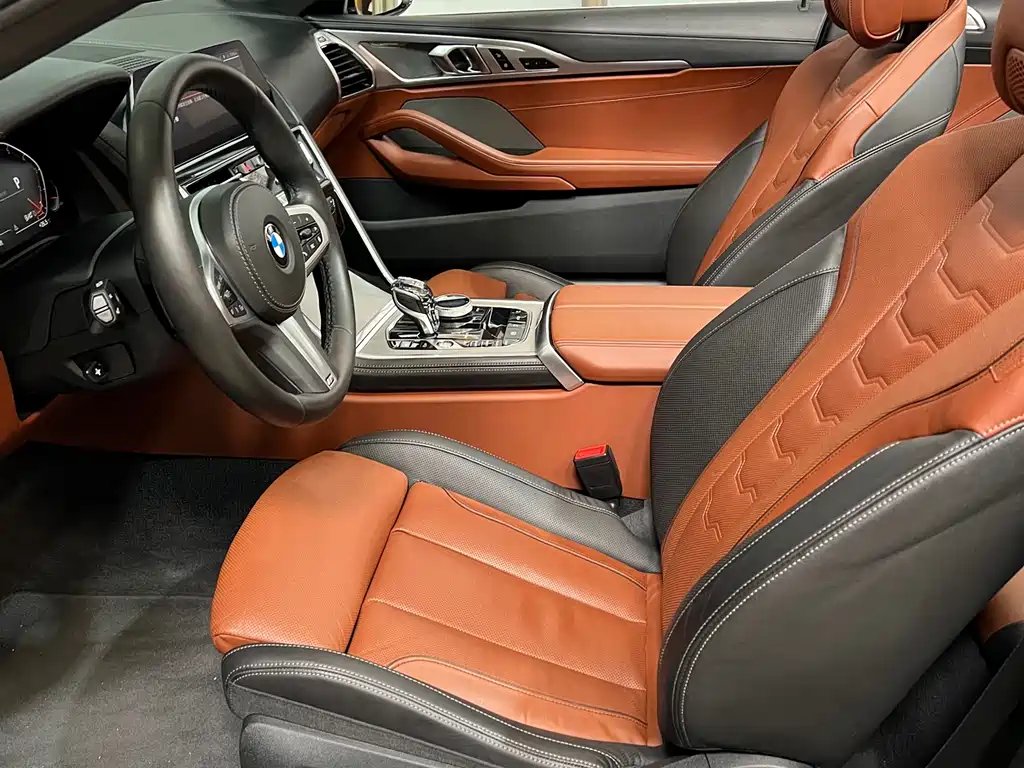 BMW 8 Series 2019 — фото 12