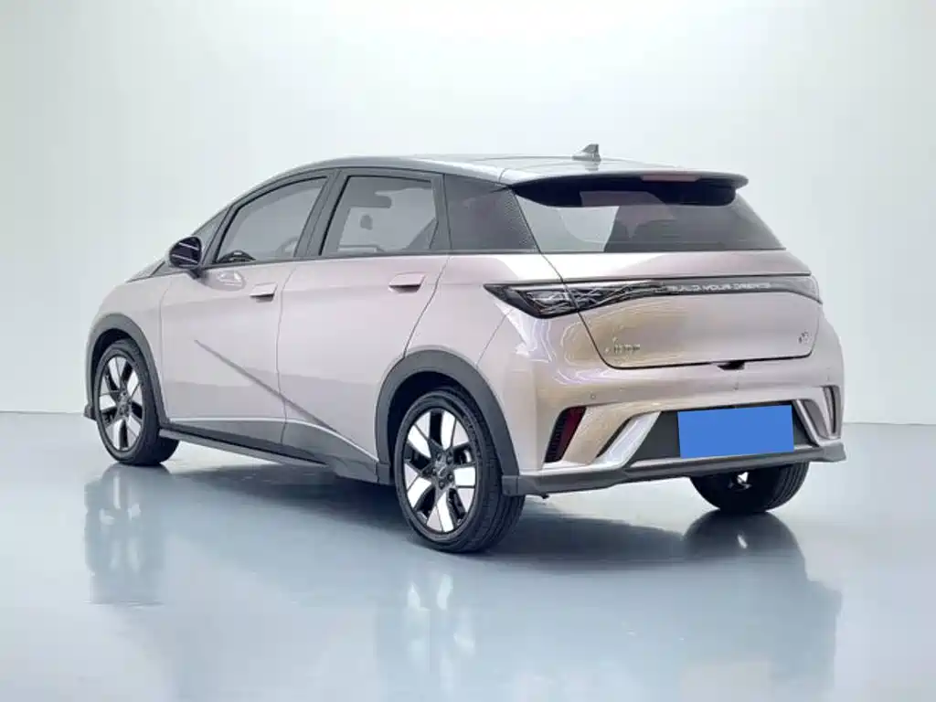 BYD Dolphin 2022