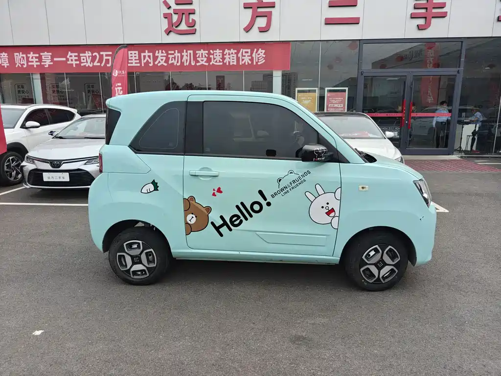 Fengguang MINIEV 2024