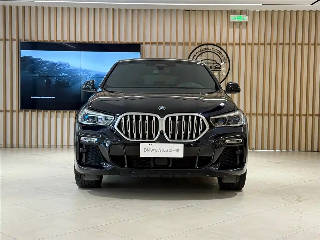 BMW X6 2019