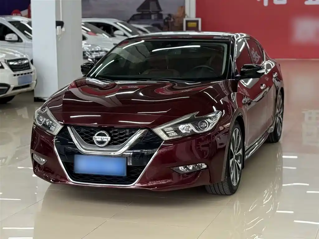 Nissan Cima 2016 — фото 2