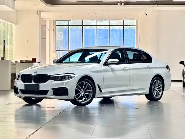 BMW 5 Series 2019