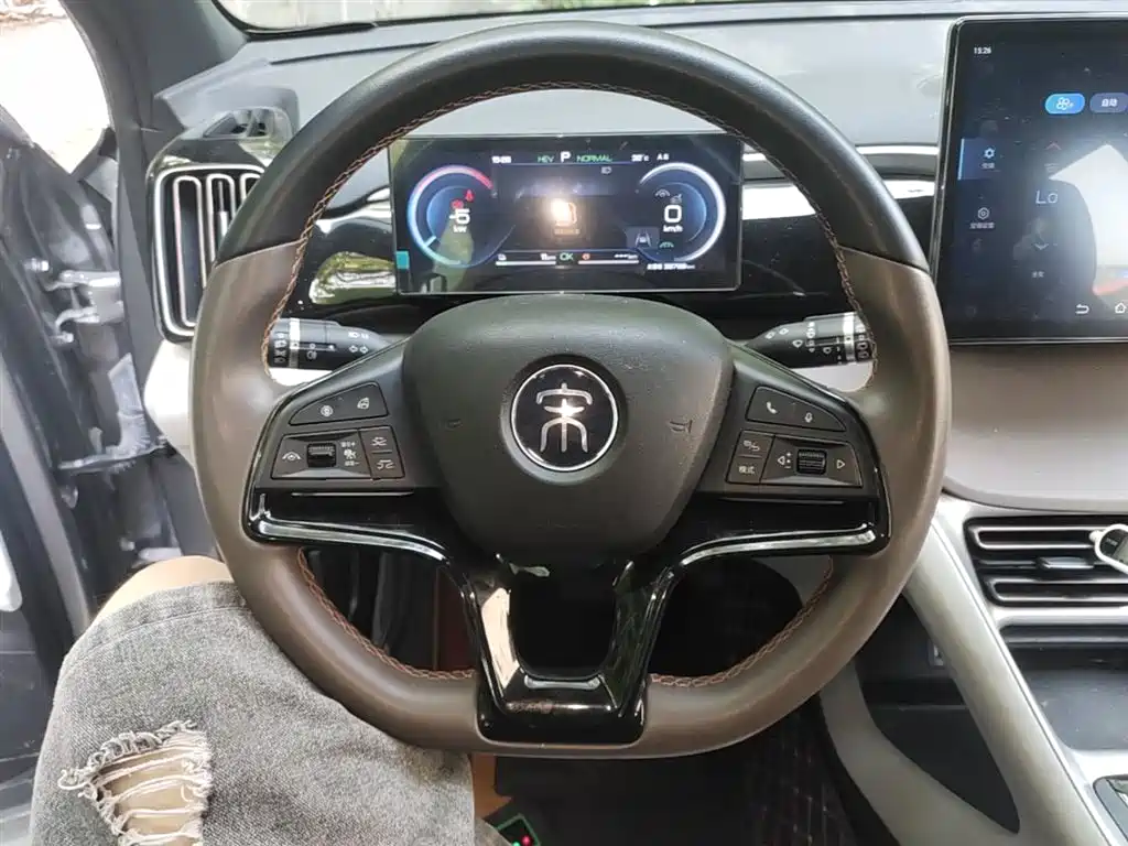 BYD Pro New Energy 2023 — фото 11