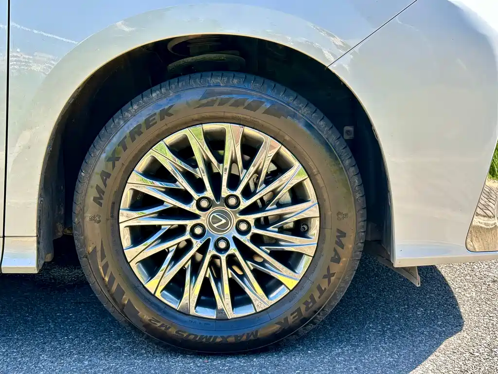 Lexus LM 2020 — фото 12