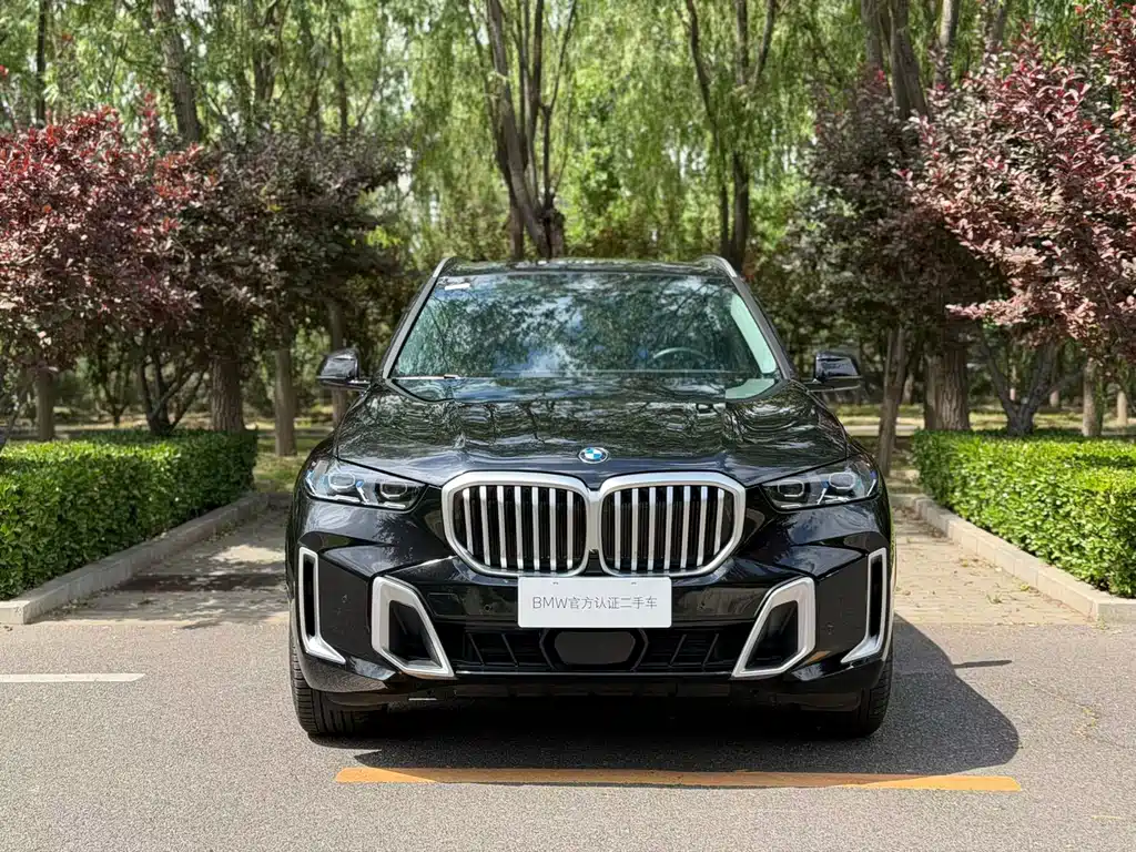 BMW X5 2025 — фото 2