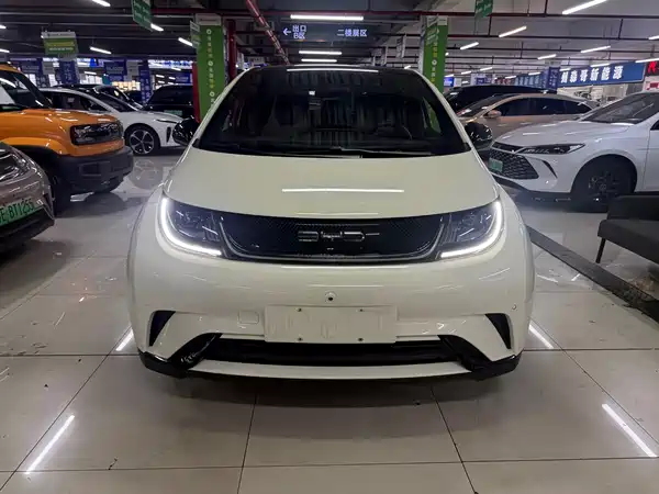BYD Dolphin 2023