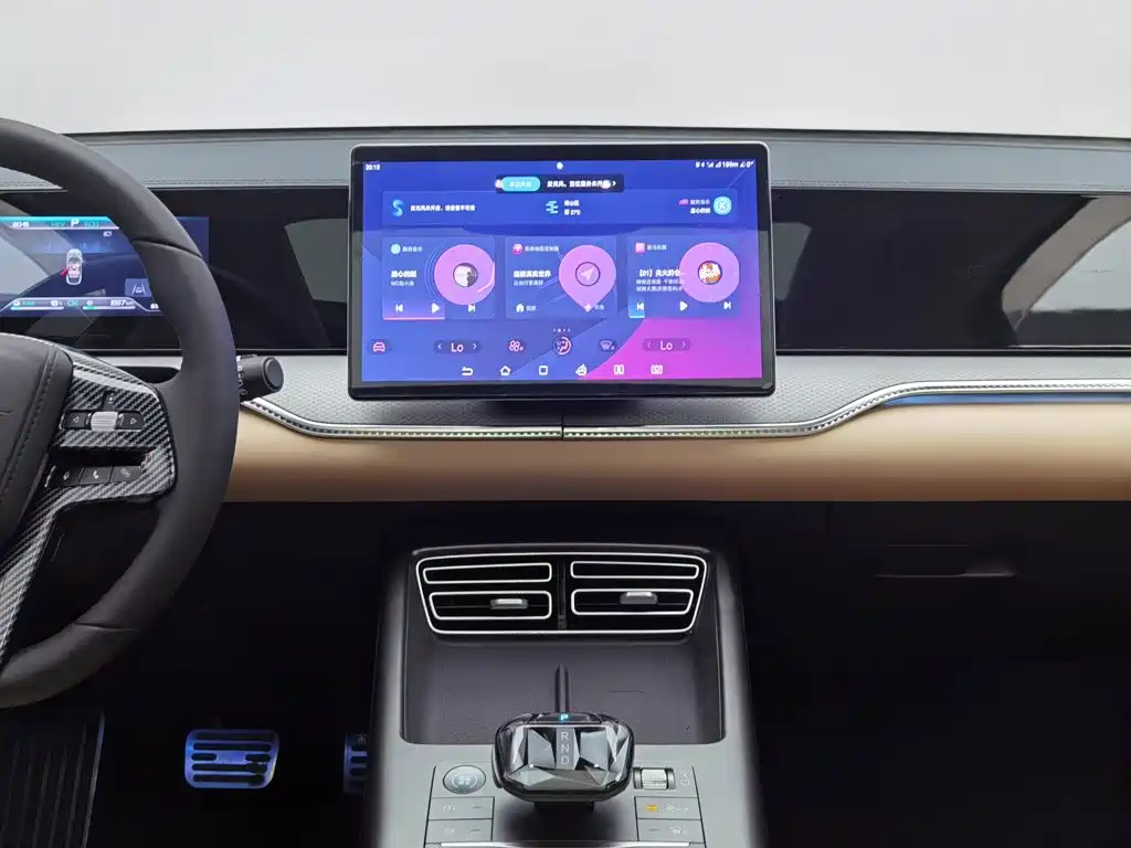 BYD Song Pro New Energy 2025 — фото 12