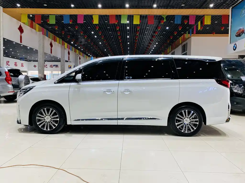GAC Motor Trumpchi M8 2023 — фото 16