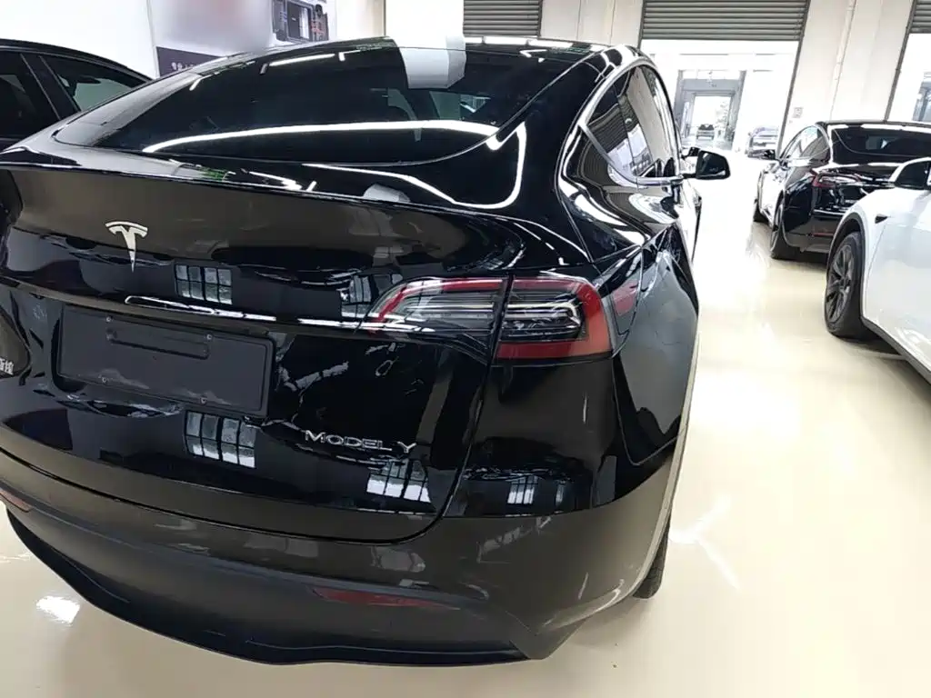Tesla Model Y 2023 — фото 8