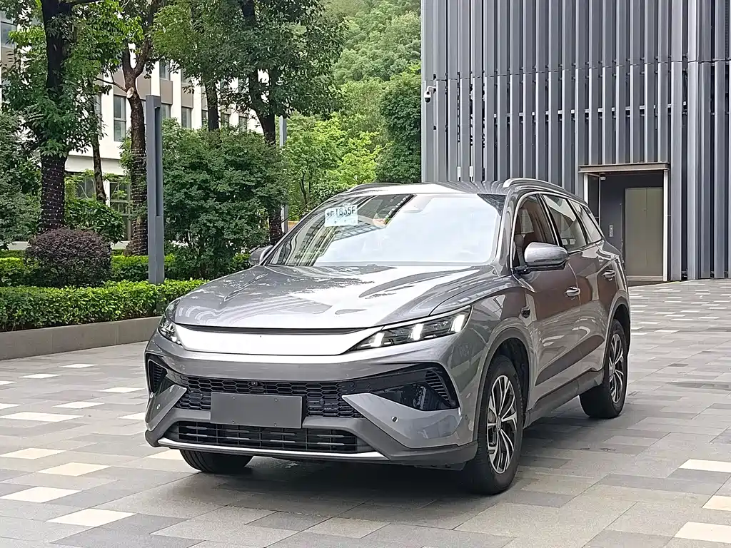 BYD Pro New Energy 2025