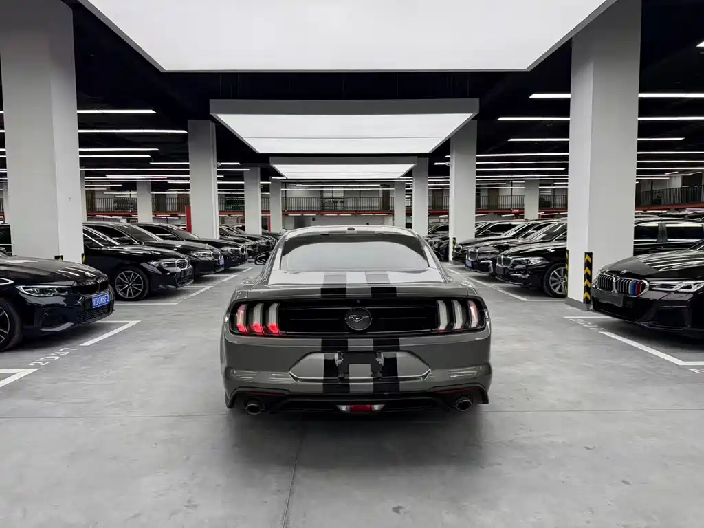 Ford Mustang 2019 — фото 14
