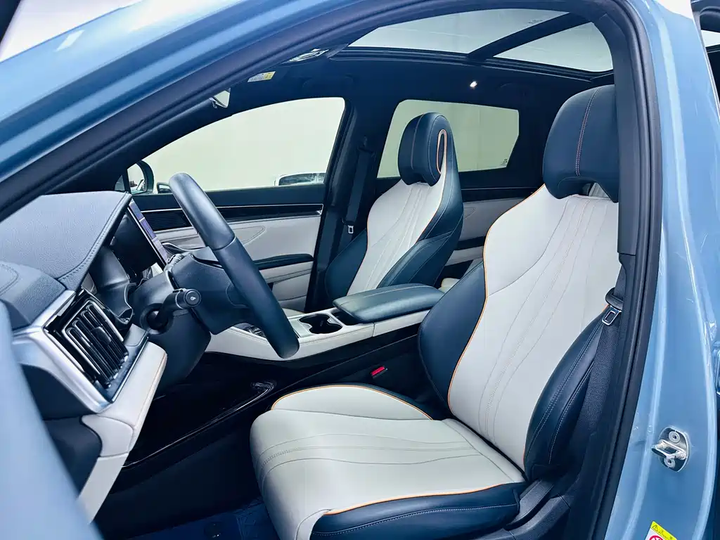 BYD PLUS New Energy 2024 — фото 10