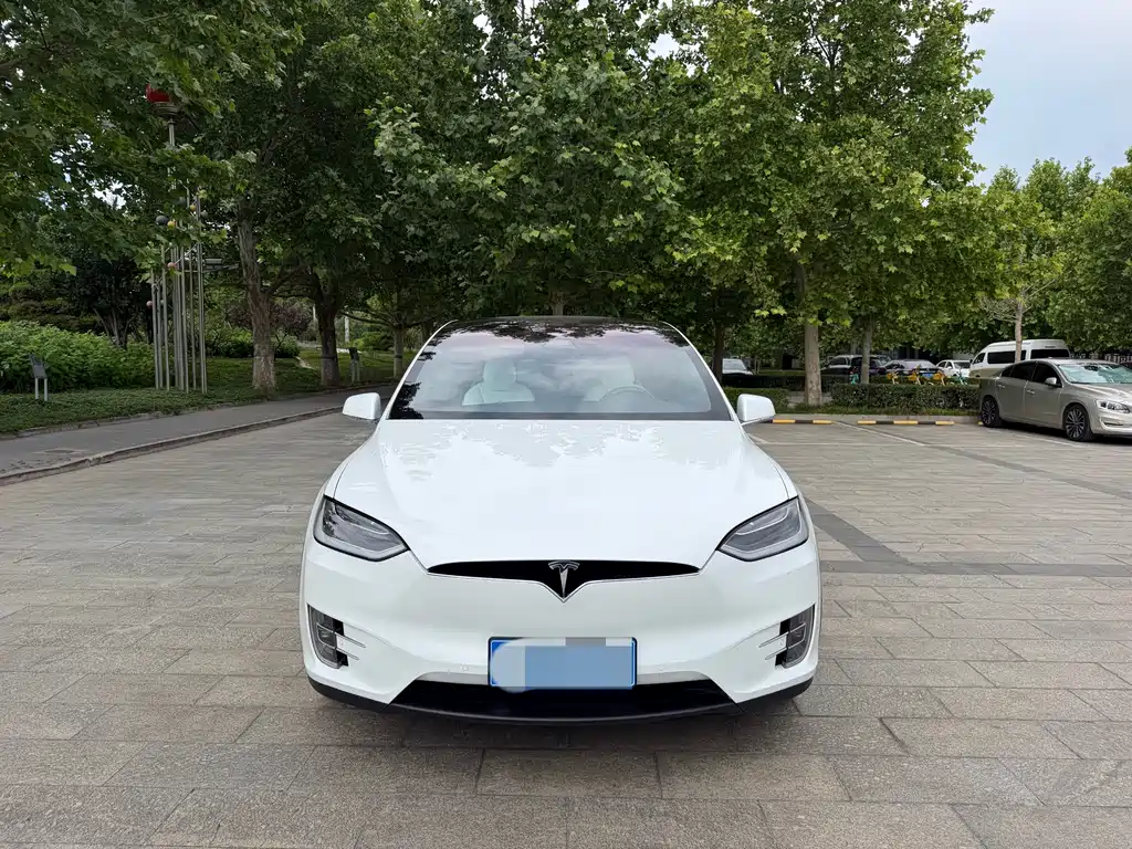 Tesla Model X 2016 — фото 2