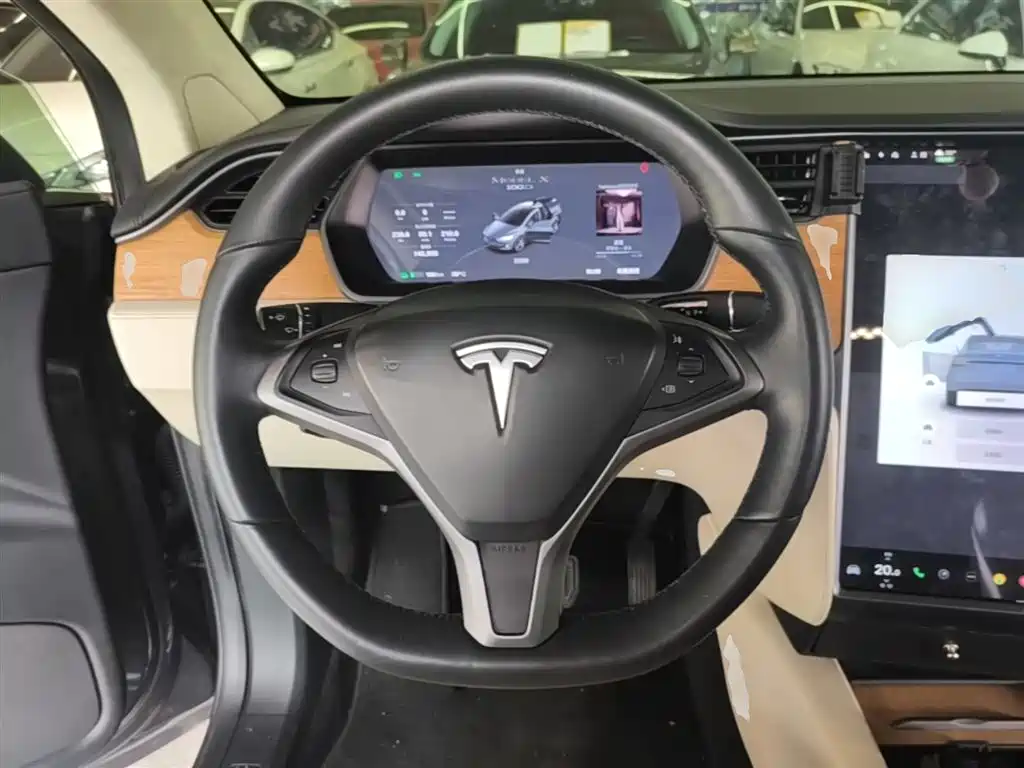 Tesla Model X 2019 — фото 11