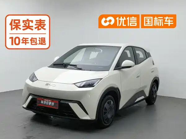 BYD Seagull 2024