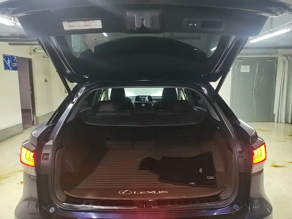 Lexus RX 2021 — фото 19