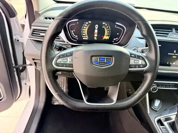 Geely Binrui 2019