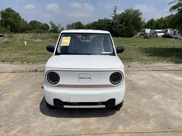 Geely Galaxy Panda 2026