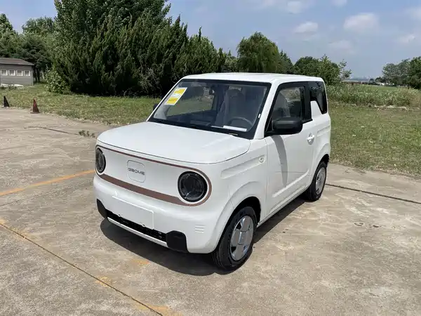 Geely Galaxy Panda 2026